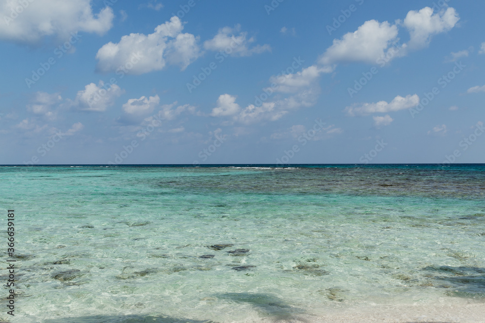 Ocean Ocean