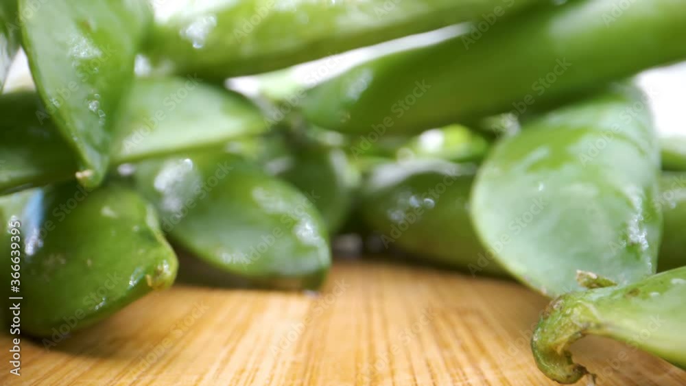 Lots of fresh french beans on the table Lots of fresh french beans on the table