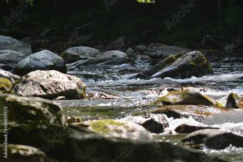 Beauty in the Smokies © Sasha's Sentiments