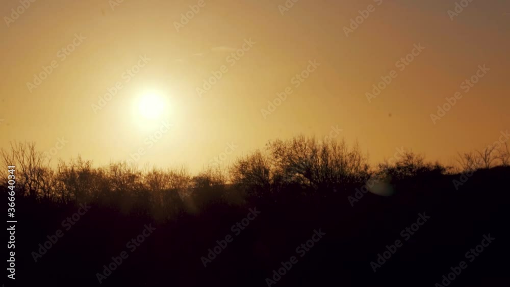 Fiery Sunset Over The dunes at sea tree, silhouettes against sun In texel, Wadden Islands In The Netherlands During Summer. - wide landscape Fiery Sunset Over The dunes at sea tree, silhouettes against sun In texel, Wadden Islands In The Netherlands During Summer. - wide landscape
