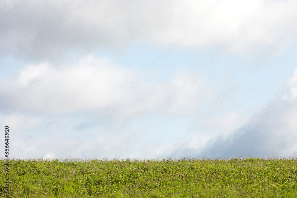summer skyscape over vivid green grass horizon summer skyscape over vivid green grass horizon