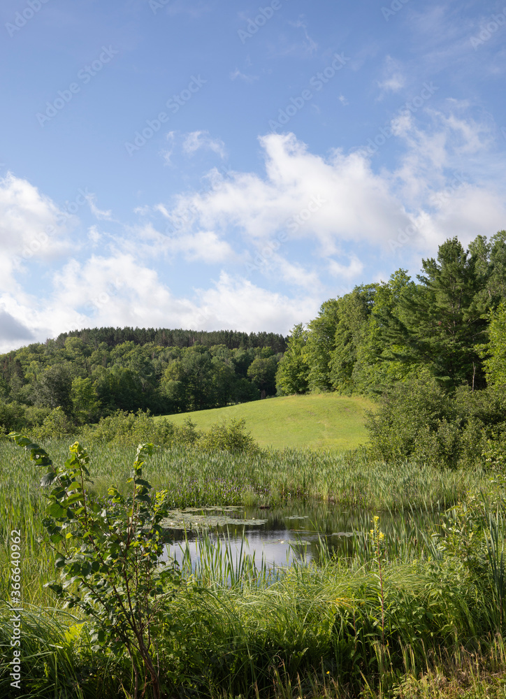 colourful rural landscape with greens and blue and pond water colourful rural landscape with greens and blue and pond water