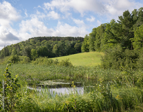 Fototapeta Naklejka Na Ścianę i Meble -  colourful rural landscape with greens and blue and water