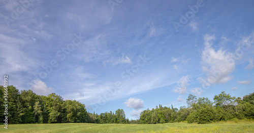 rural landscape of blue summer sky and green grass and trees
