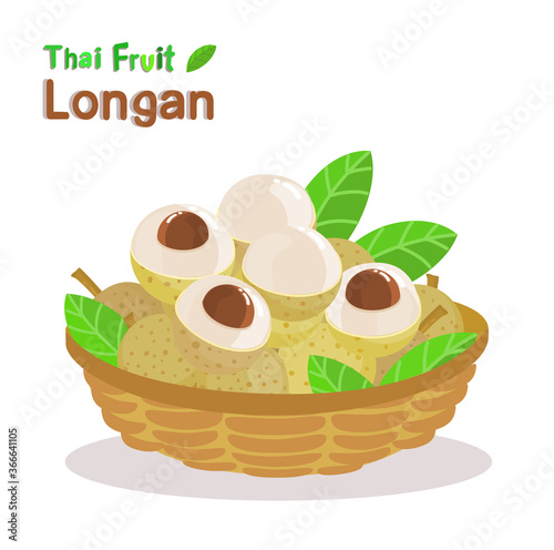 Longan Thai Fruit
