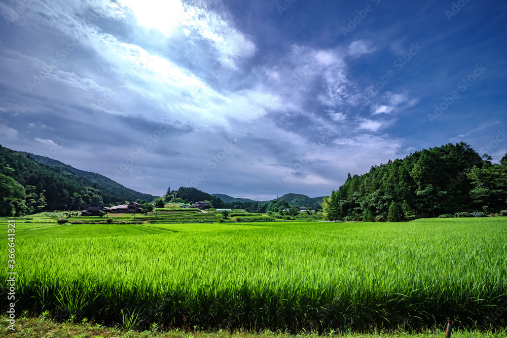 Fototapeta premium 日本の原風景