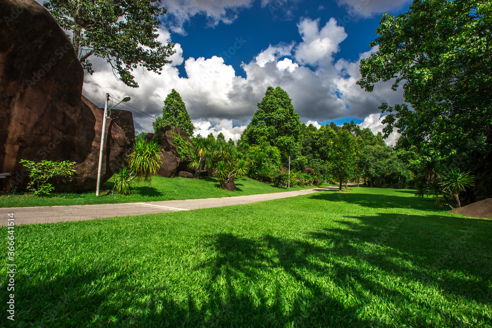 Naklejka premium Natural background in the park with many kinds of plants, large stones, allow tourists to stop and take photos while traveling, the beauty of the ecosystem