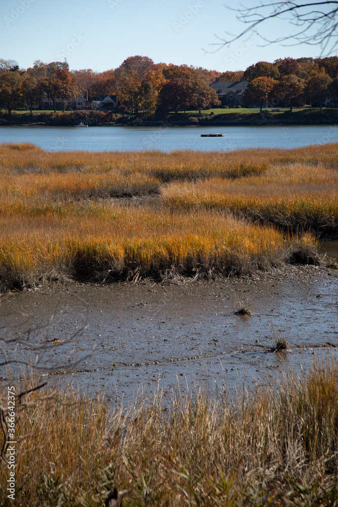 Marsh land in autumn with open water