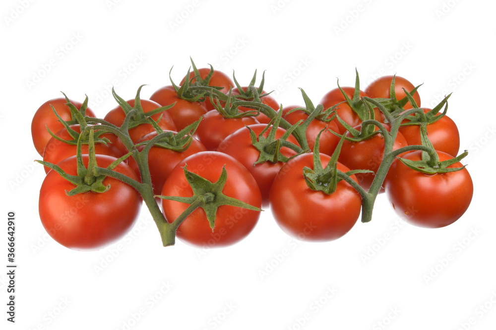 Tomatoes Tomatoes