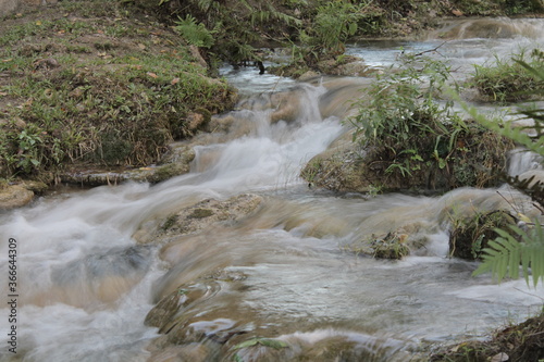 waterfall in the forest