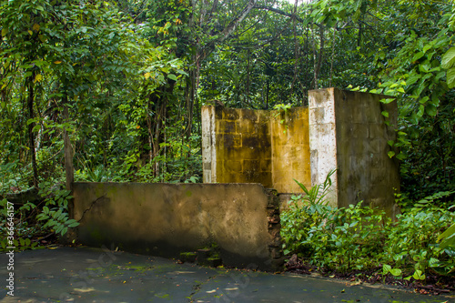 Photography The ruin of house in Thomson Nature Park Singapore, which is opened on 12 October 2019, The park is being developed on the site of a former Hainan village which was established in the 1800s