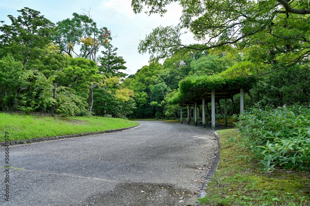 新緑に包まれた公園の遊歩道の情景＠大阪