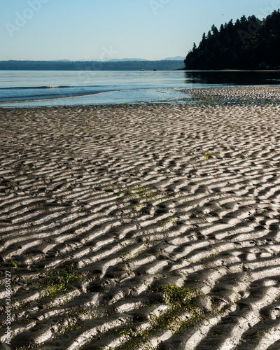 Ripples in the Sand