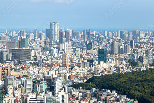 東京都庁南展望台から見た　東京の街並み © Faula Photo Works