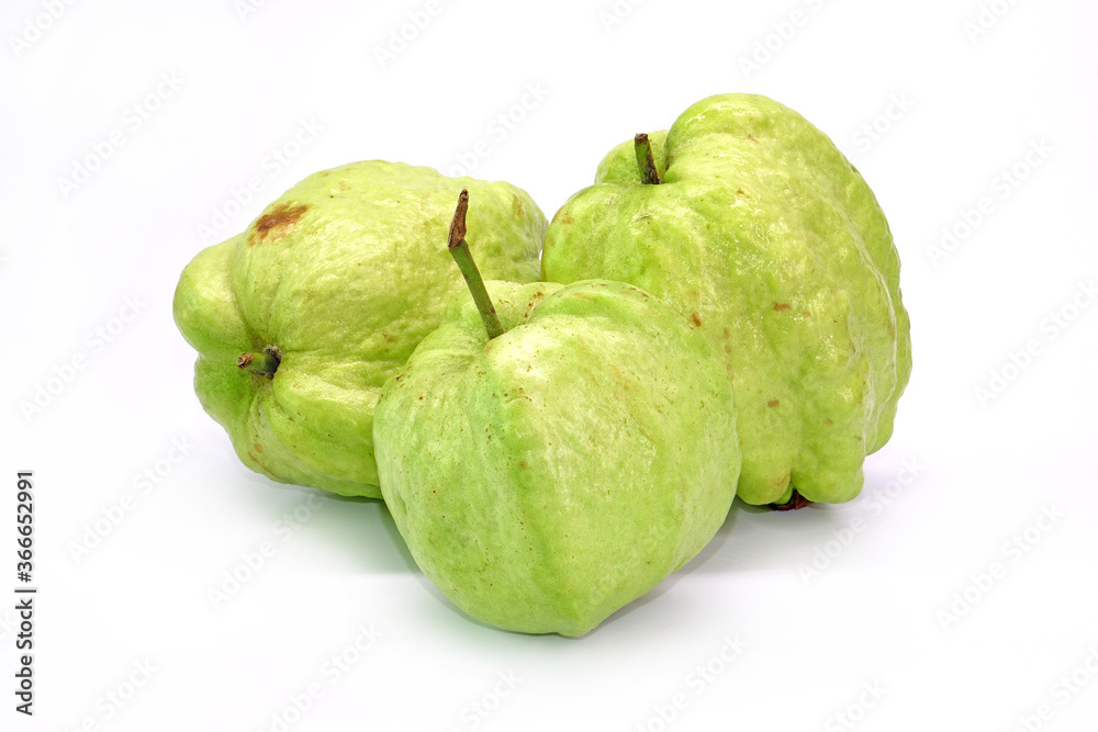 Guava fruit isolated on white background Guava fruit isolated on white background
