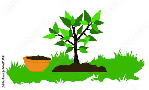 tree seedling in the garden and earthen pot, gardening, flat design, vector illustration