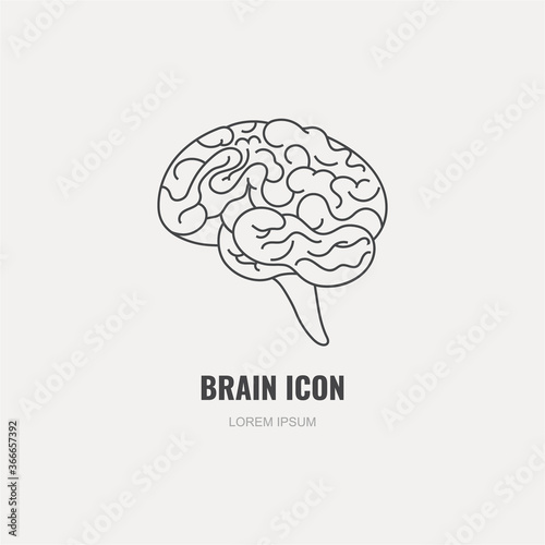 Vector line illustration. The human brain. Isolated on gray background.