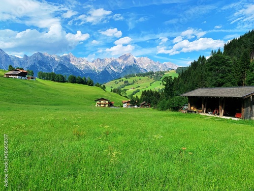 Austria alpine meadow