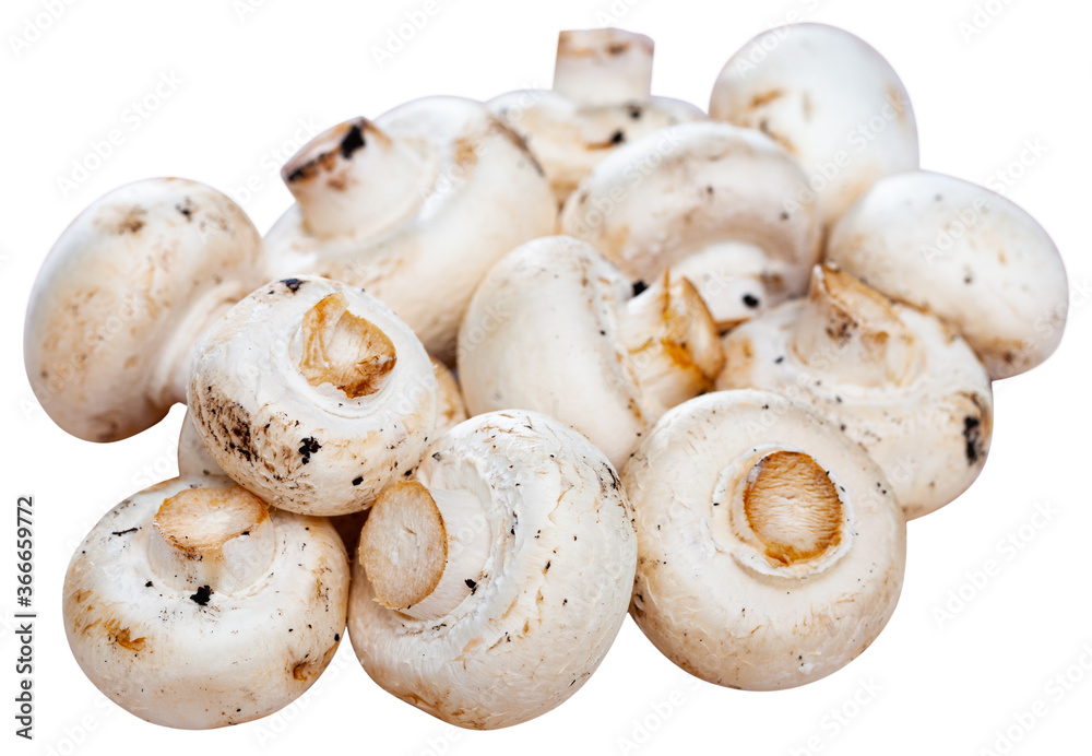Image of raw white champignons. Isolated over white background