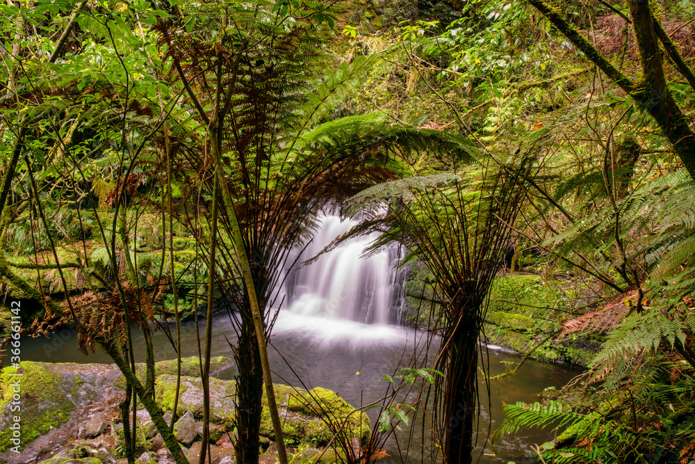 One of the lower waterfalls at the  McLean Falls  in the Catlins Forest Park deep in lush native bush and punga ferns