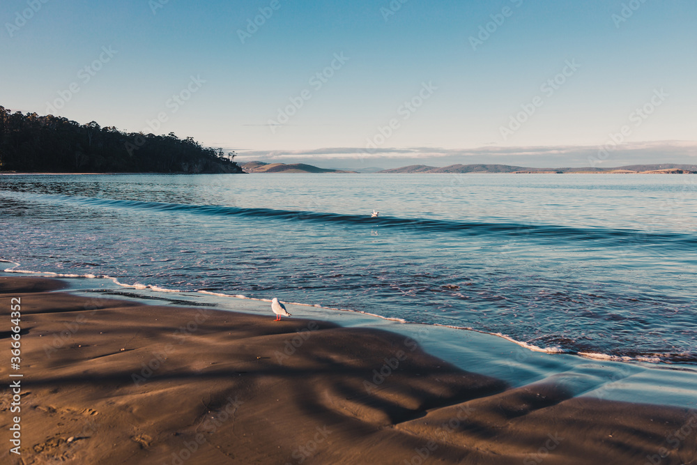 Φωτογραφία beautiful pristine Tasmanian beach in South Hobart at dusk