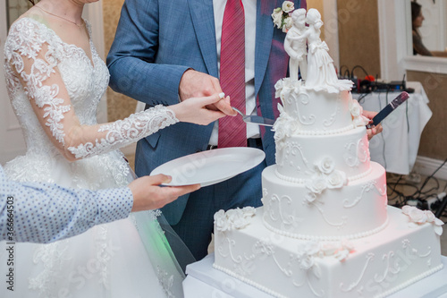 the groom and the bride cut the wedding cake