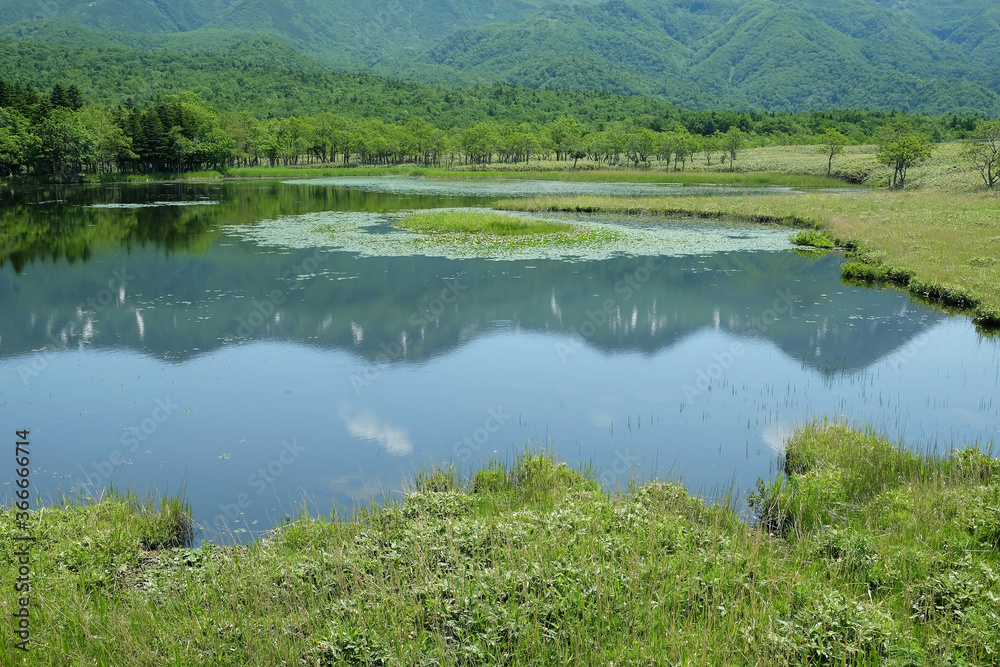 Water and Green Landscape,Shiretoko Five Lakes