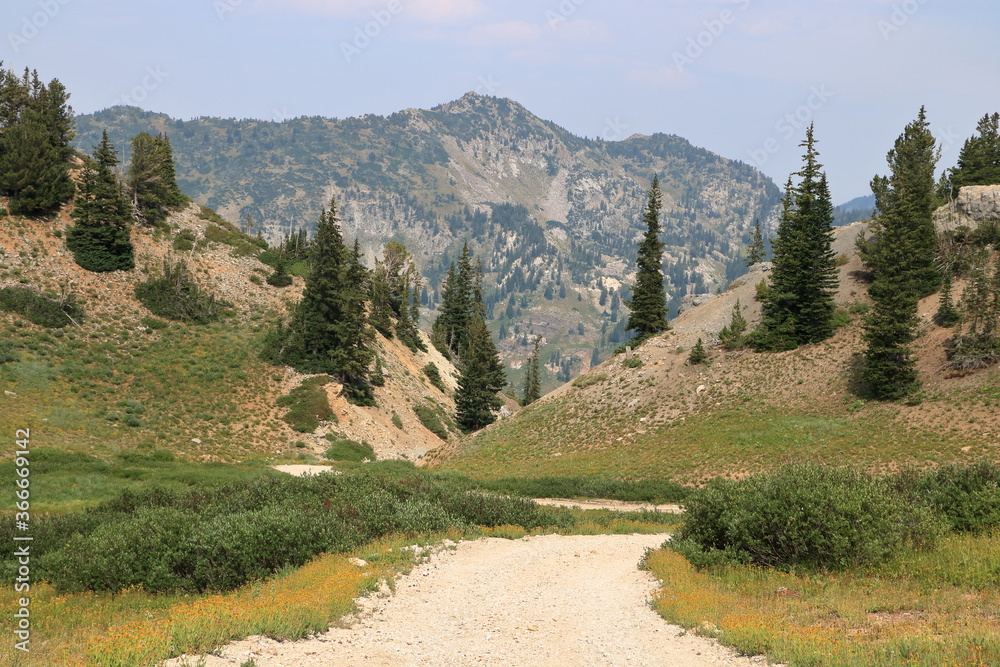 A mountain pass once used for off road vehicles leads down to the lower reaches of Albion Basin seen near Alta, Utah