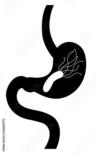 stomach and bacterium Helicobacter