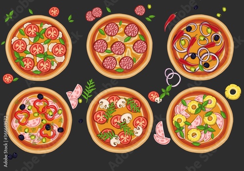 Set of pizzas with various fillings. illustration. Vector illustration