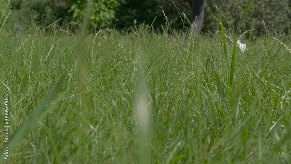 With ball on the park grass. Children's foot hits the soccer ball on green grass in nature. With ball on the park grass. Children's foot hits the soccer ball on green grass in nature.