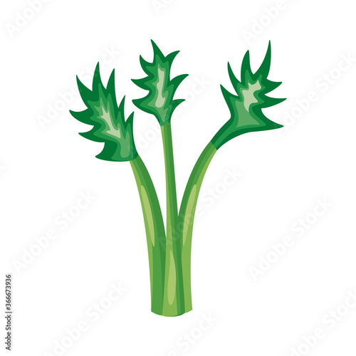 celery healthy vegetable detailed style icon