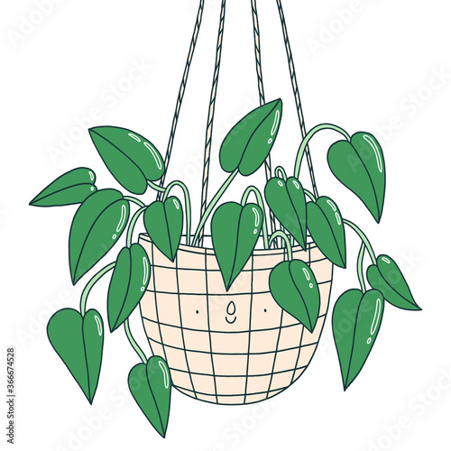 Scindapsus funny plant character in a hanging pot, vector illustration