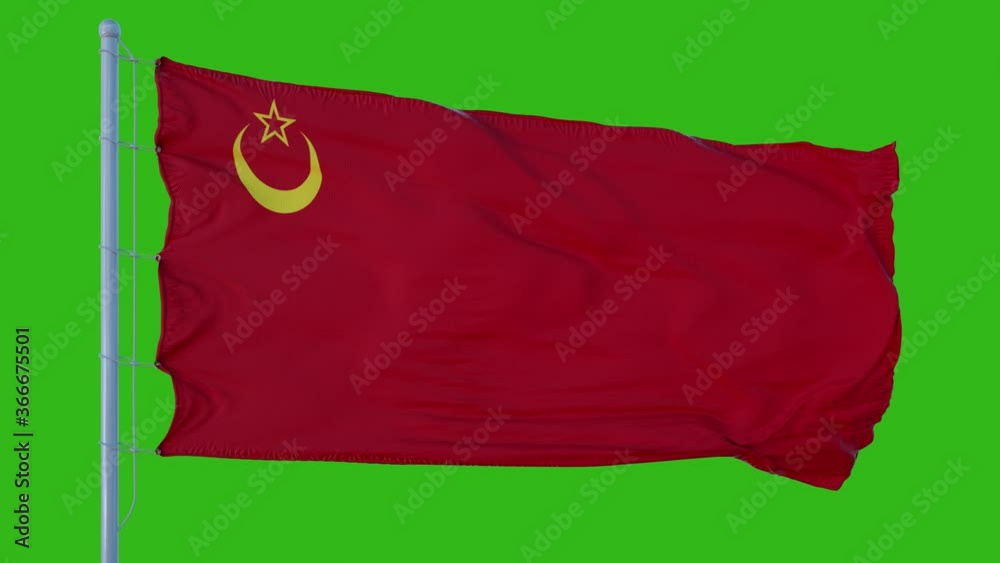 Union Of Islamic Soviet Republics Flag waving in the wind against green screen background Union Of Islamic Soviet Republics Flag waving in the wind against green screen background