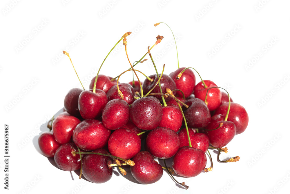 Cherries with water drops. Fresh ripe cherry isolated on white background with shadow. Cherries with water drops. Fresh ripe cherry isolated on white background with shadow.