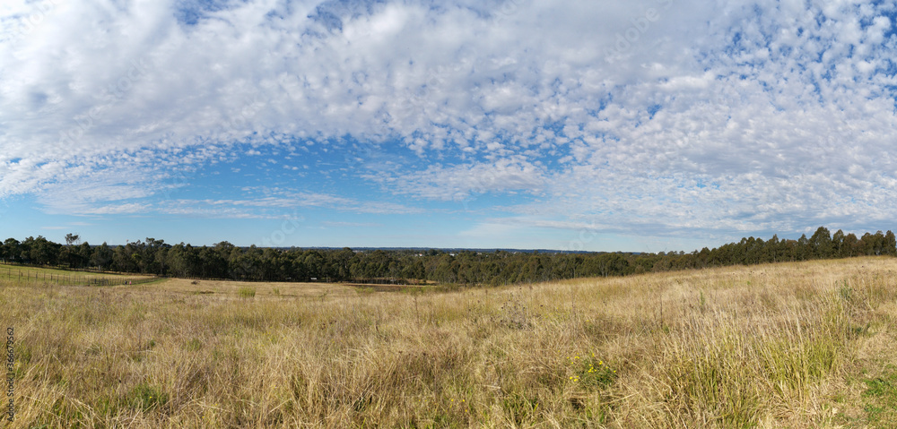 Beautiful paranomic view of a park with wild grass, tall trees in the background and a deep blue puffy sky, Rouse Hill Regional Park, Rouse Hill, New South Wales, Australia Beautiful paranomic view of a park with wild grass, tall trees in the background and a deep blue puffy sky, Rouse Hill Regional Park, Rouse Hill, New South Wales, Australia