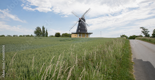 old wind mill in denmark with a field