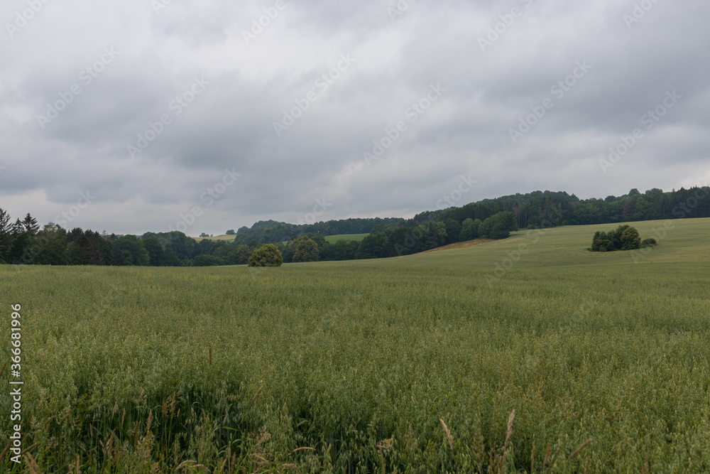 Felder rund um Sebnitz in der Sächsischen Schweiz