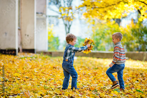 Boy playing with yellow autumn leaves in a park