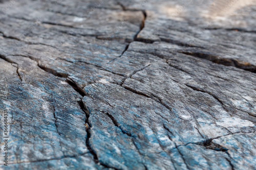 Close Up Old Weathered Cracked Wood Texture Close Up Old Weathered Cracked Wood Texture