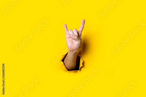 Male hand shows the gesture of goat, rocker goat, horns on a yellow background. Hand gestures photo