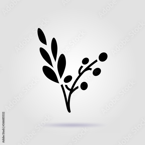 Cranberry black icon isolated on gray background with soft shadow