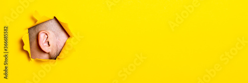 Valokuva Male ear peeking out of the torn hole yellow background