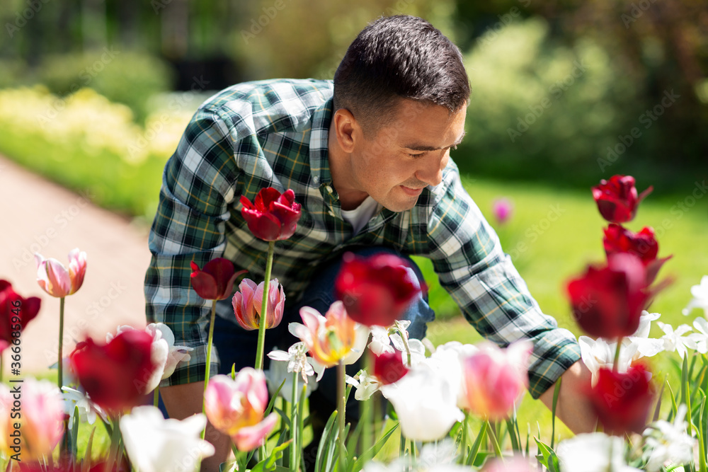 gardening and people concept - happy smiling middle-aged man taking care of flowers at summer garden gardening and people concept - happy smiling middle-aged man taking care of flowers at summer garden