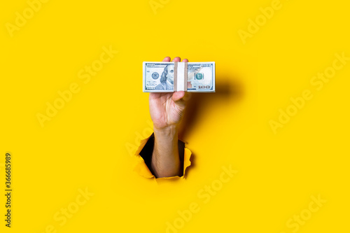 Female hand holds horizontally a bundle of money bills on a yellow background.