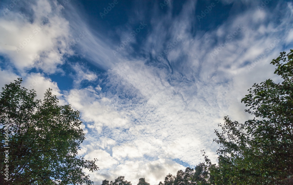 Summer sky with clouds and trees