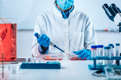 Obraz na płótnie Biotechnology Researcher in Laboratory Working with Cell Culture