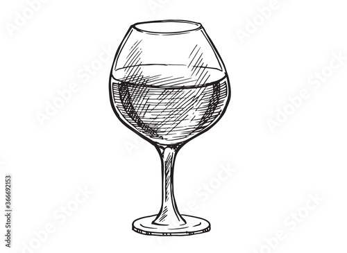 Wine glasses sketch vector illustration. Hand drawn label design elements.