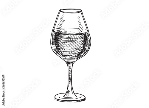 Wine glasses sketch vector illustration. Hand drawn label design elements.