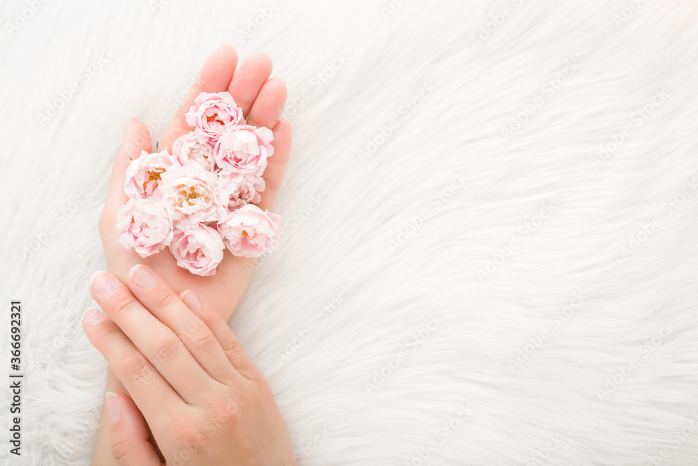 Beautiful small pink roses in young woman palm on white fluffy fur blanket background. Soft color. Closeup. Point of view shot. Empty place for text. Top down view. Beautiful small pink roses in young woman palm on white fluffy fur blanket background. Soft color. Closeup. Point of view shot. Empty place for text. Top down view.